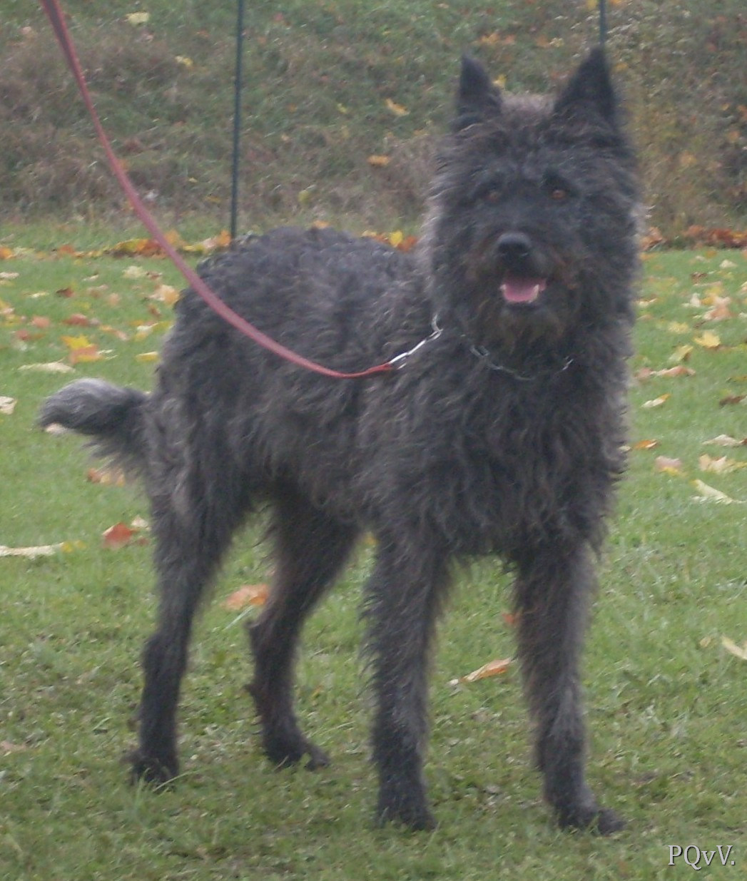 Email du Pré aux Vanneaux 